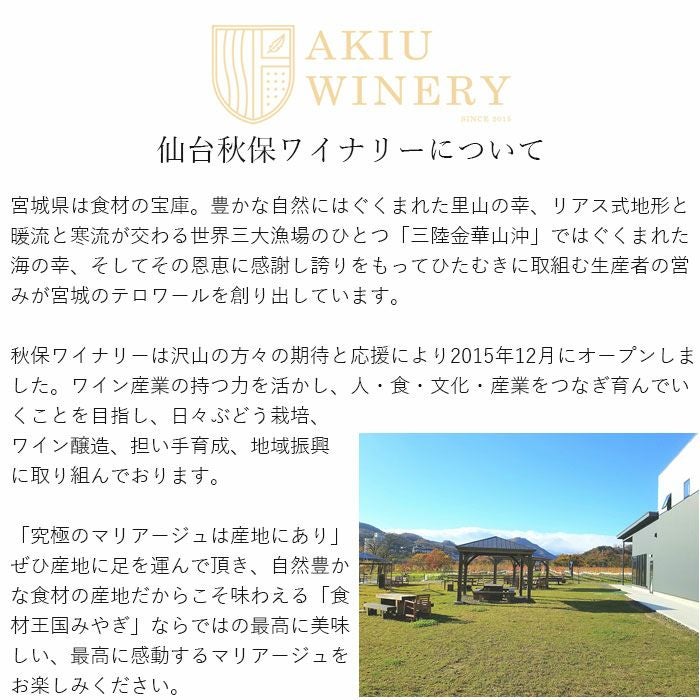 バンジーシードル辛口（２本セット）