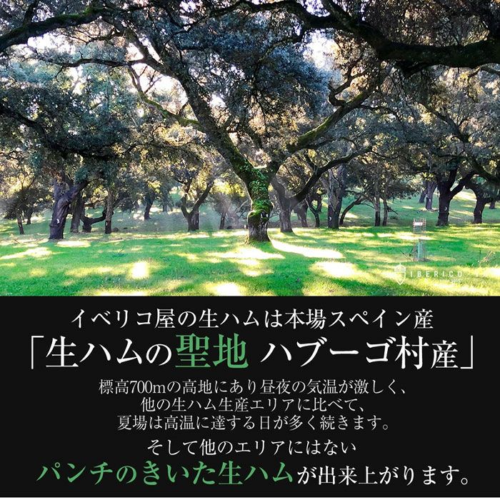 イベリコ屋生ハム3種とオリーブオイルのセット