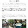 黒兵衛餃子4種セット