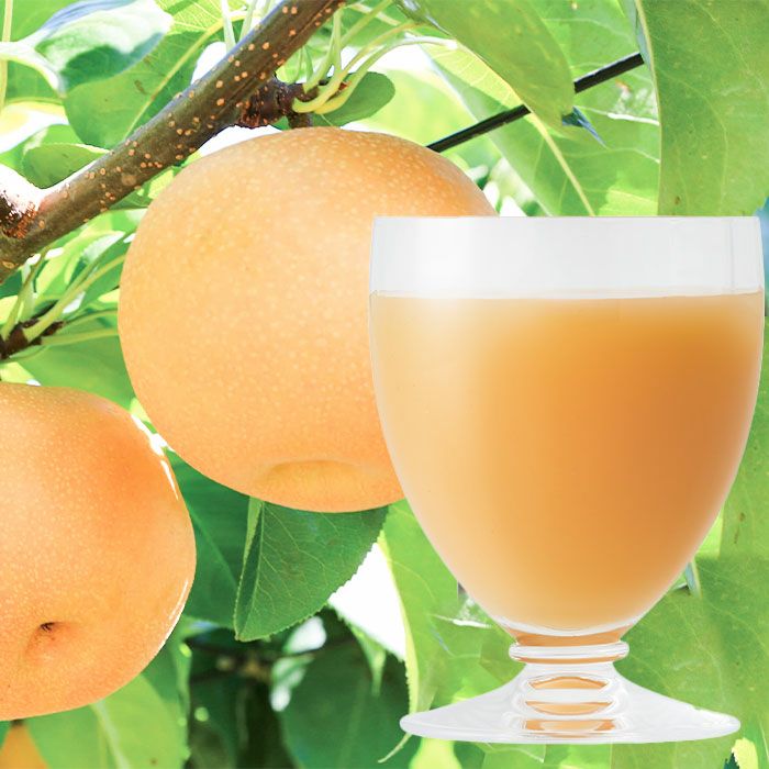 100%国産ストレート和梨ジュース 20缶セット｜おとなの週末お取り寄せ